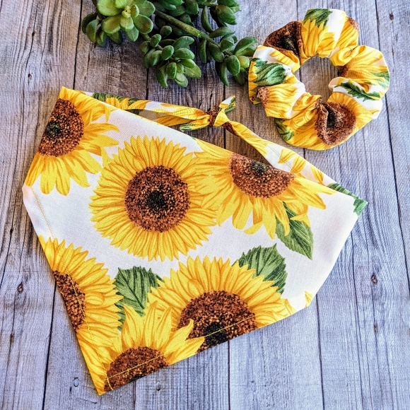 SUNFLOWER 🌻 Dog Bandana with Hair Scrunchie! - Picture 5 of 11